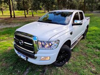 ZX AUTO, Terralord 2.4 (Liso), Usado